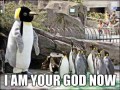 Bóg