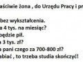 Studia