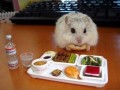 Omnomnom