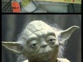 Yoda