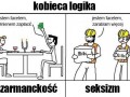 Kobieca logika 1