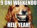 Weekend