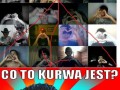 Wtf 1