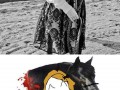 Fail