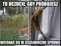 To uczucie 2
