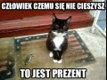 Koteł