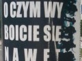 True 3