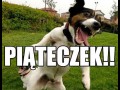 Piąteczek