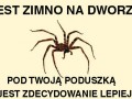 Zimno