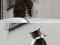 True love