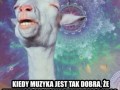 To uczucie