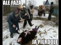 Ale faza