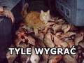 Tyle wygrać