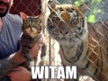 Witam 1
