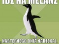 Melanż