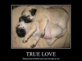 True love
