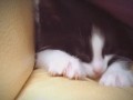 Awwww