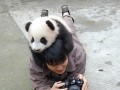 Cute
