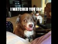 Hehe