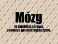 Mózg