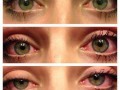 Weed