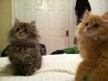 Awwww