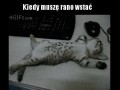 Rano