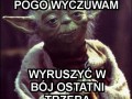 Yoda