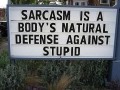 Sarkazm