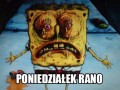 Poniedziałek