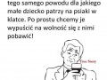 Cycki 1