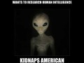 Inteligencja