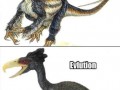 Ewolucja