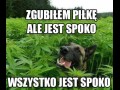 Spoko