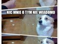 Pieseł