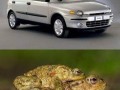 Coś w tym jest