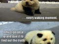 Awwww