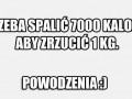 Powodzenia