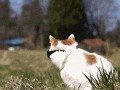 Deal with it 1
