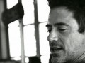 Robert downey jr