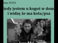 Zwierzaki