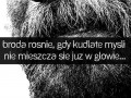 Broda