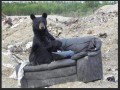 Chill