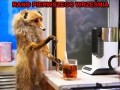 Tak będzie
