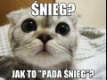 śnieg