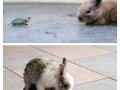 Cute 1