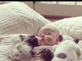 Awwwww