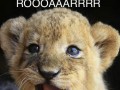 Rawr