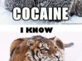 Cocaine