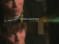 Skins
